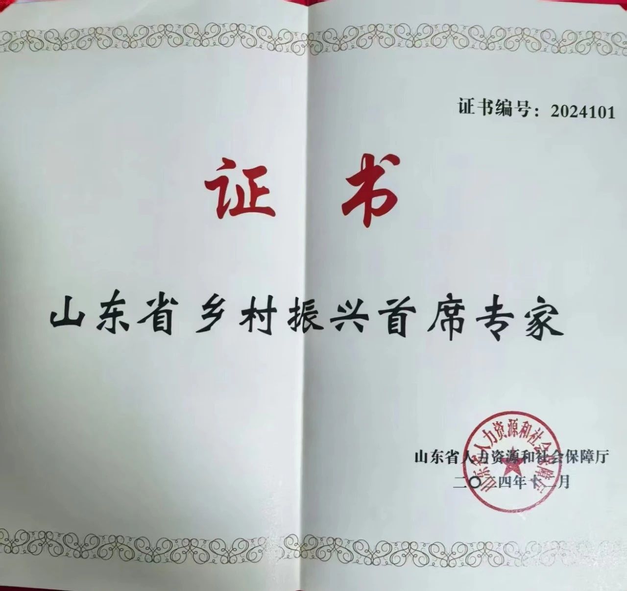 證書 楊飛.jpg